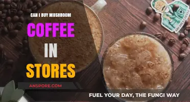 Where to Find Mushroom Coffee: In-Store Availability Guide