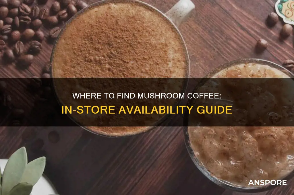 can i buy mushroom coffee in stores