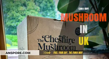 Buying Mushrooms in the UK: Legalities, Types, and Where to Purchase