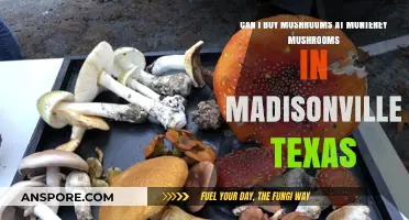 Where to Buy Mushrooms in Madisonville, Texas: Monterey Mushrooms Guide