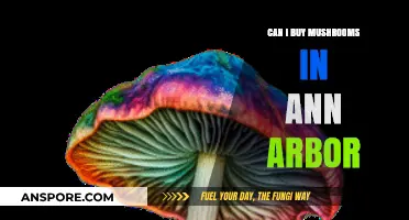 Where to Buy Mushrooms in Ann Arbor: A Comprehensive Guide