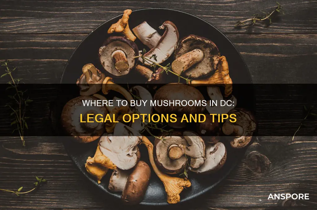 can i buy mushrooms in dc