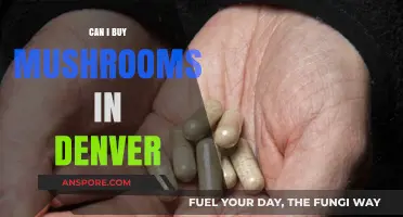 Where to Buy Mushrooms in Denver: Legal Options and Tips