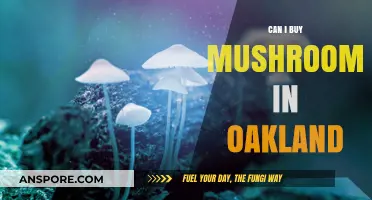 Where to Buy Mushrooms in Oakland: A Comprehensive Guide