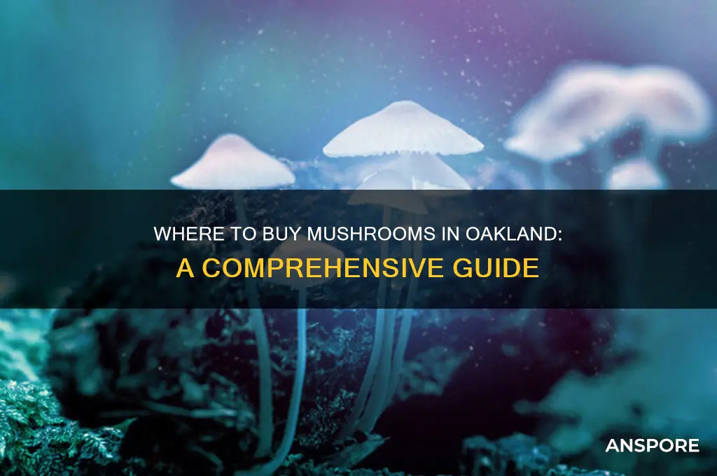 can i buy mushrooms in oakland