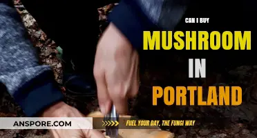Where to Buy Mushrooms in Portland: A Comprehensive Guide