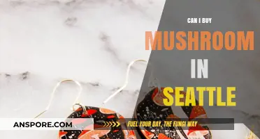 Where to Buy Mushrooms in Seattle: A Comprehensive Guide
