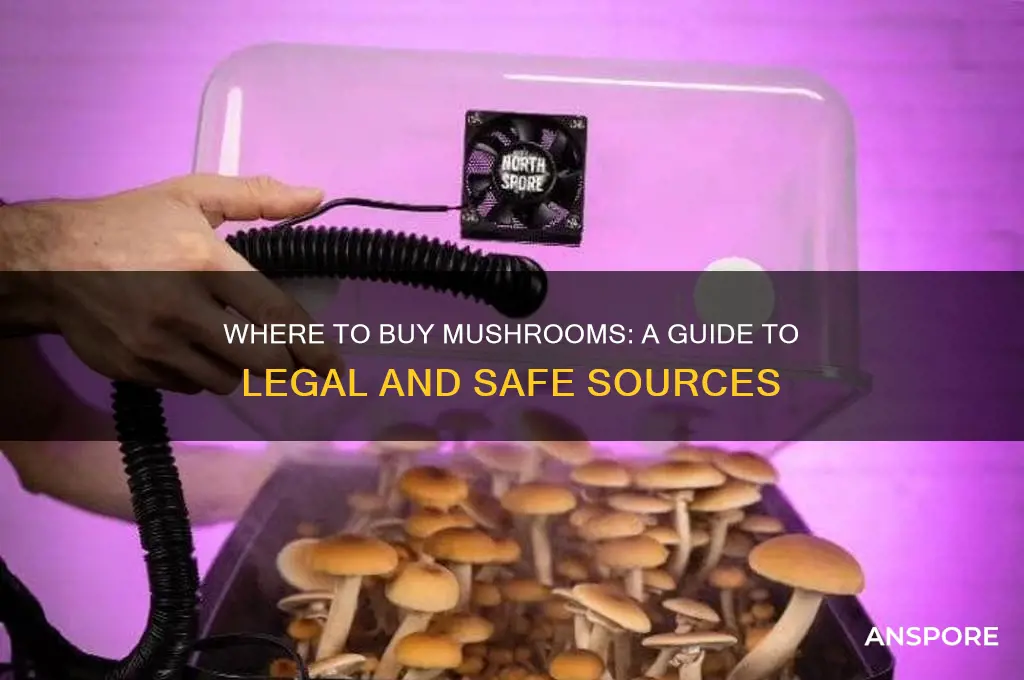 can i buy mushrooms