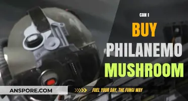Where to Find and Buy Philanemo Mushrooms: A Comprehensive Guide