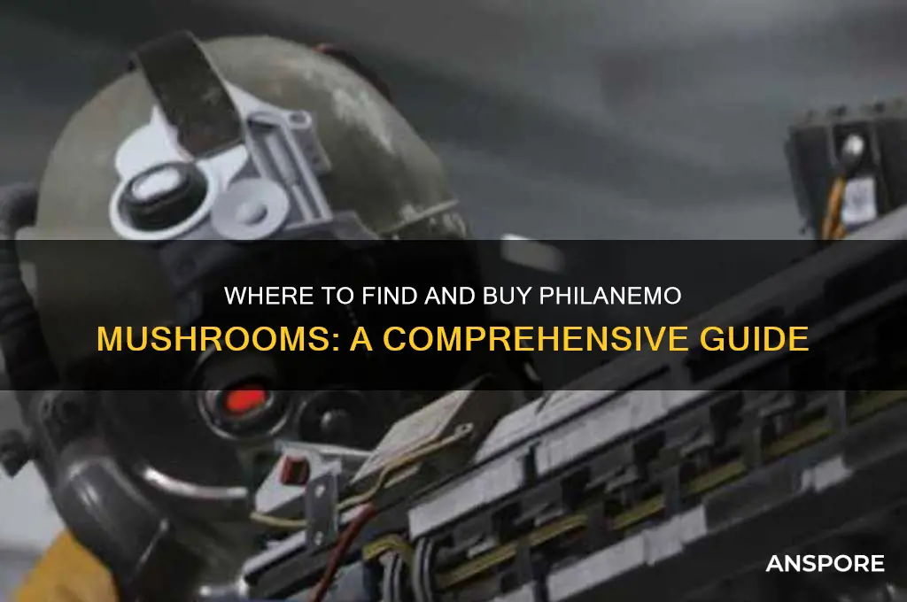 can i buy philanemo mushroom