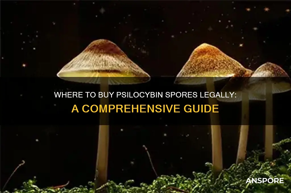 can i buy psilocyban spores