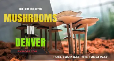 Where to Buy Psilocybin Mushrooms Legally in Denver: A Guide