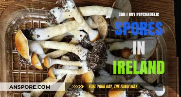 Buying Psychedelic Spores in Ireland: Legalities and Availability Explained