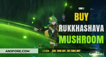 Where to Find and Buy Rukkhashava Mushrooms: A Comprehensive Guide