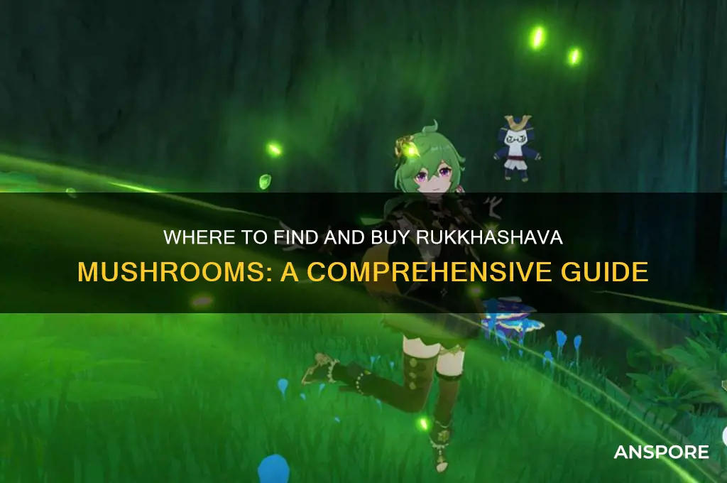 can i buy rukkhashava mushrooms