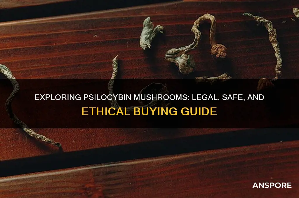 can i buy scylicyben mushrooms