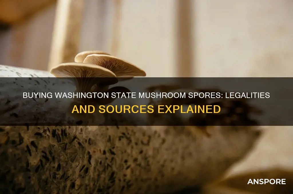 can i buy washington state spores mushrooms