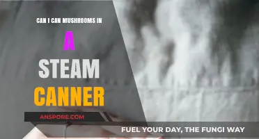 Steam Canning Mushrooms: Safe Preservation Methods and Best Practices