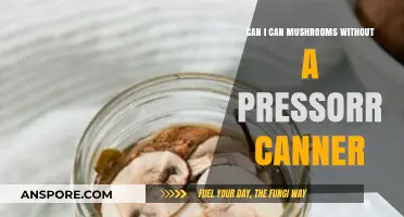 Canning Mushrooms Without a Pressure Canner: Safe and Simple Methods