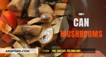 Can You Safely Can Mushrooms at Home? A Beginner's Guide