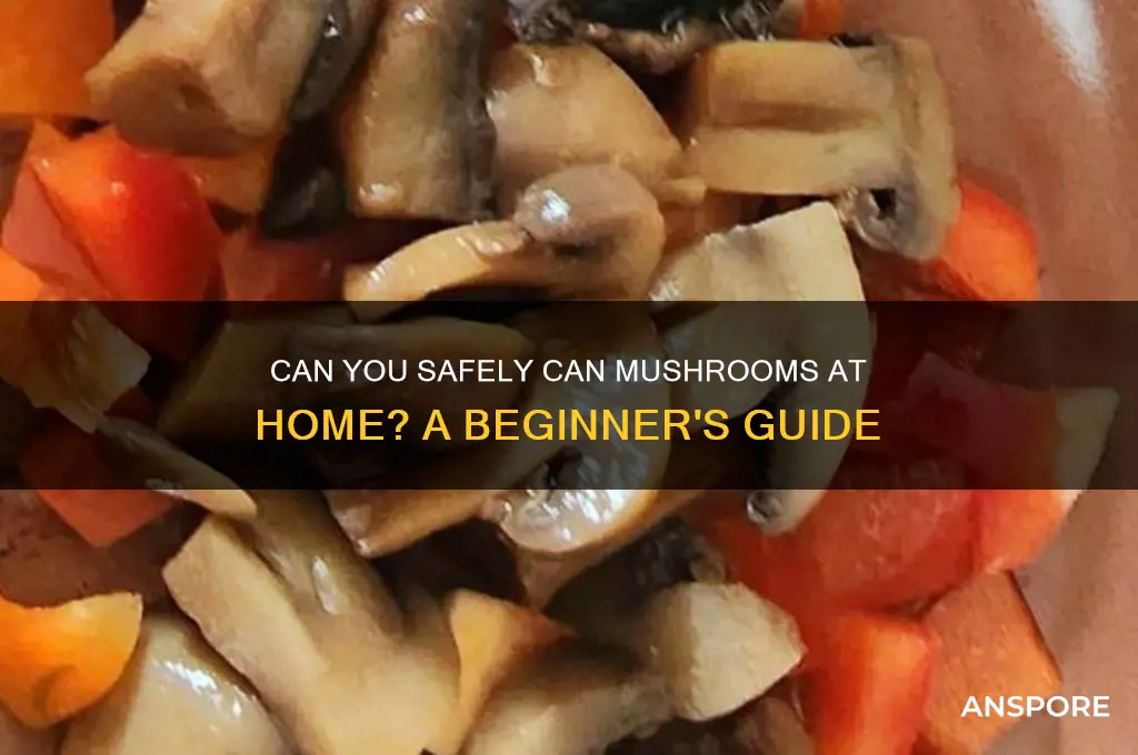 can i can mushrooms
