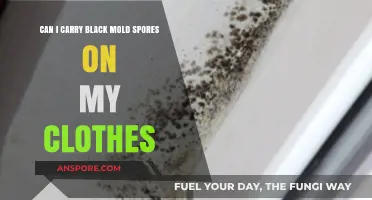 Can Black Mold Spores Hitchhike on Your Clothes? Find Out!