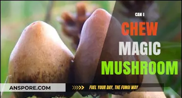 Can You Chew Magic Mushrooms? Risks, Effects, and Safety Tips