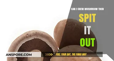 Chewing Mushrooms: To Swallow or Spit Out? Exploring the Effects