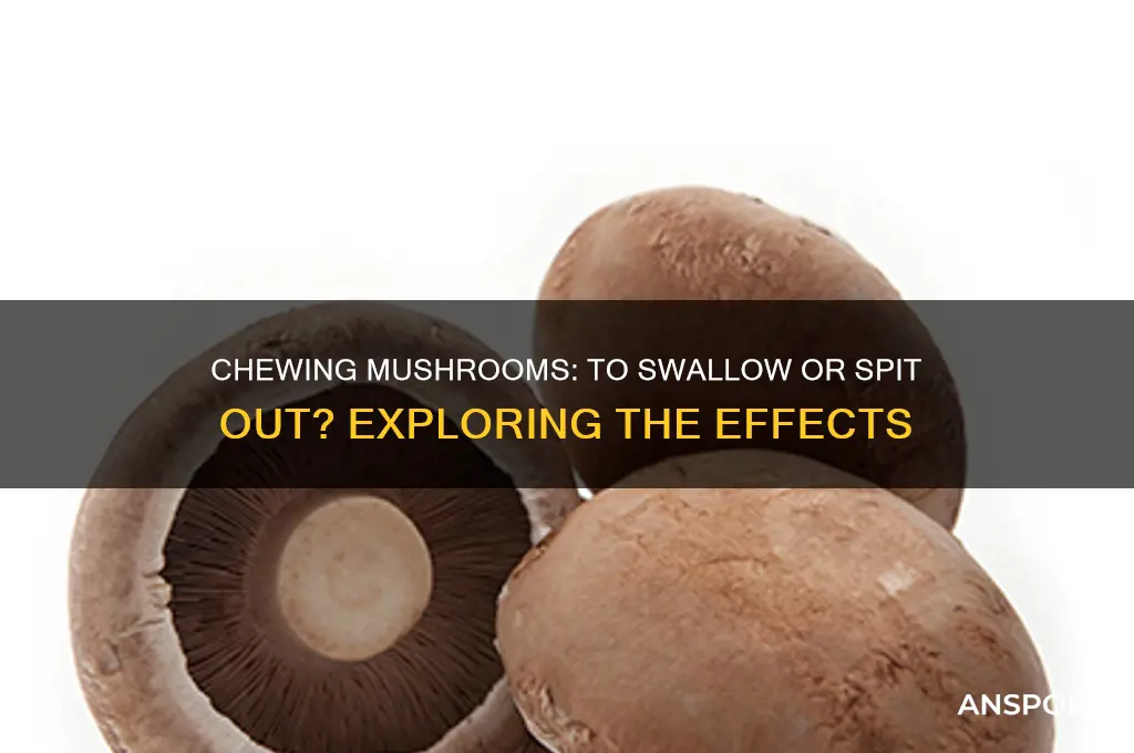 can i chew mushroom then spit it out