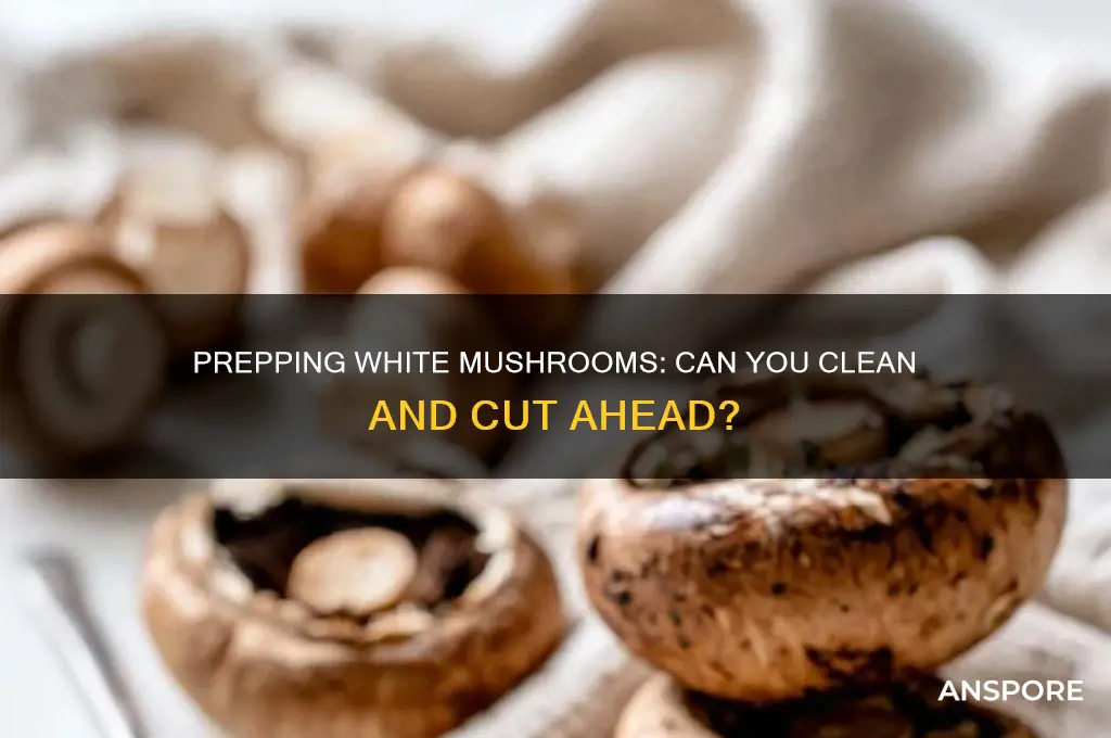 can i clean and cut white mushrooms ahead of time
