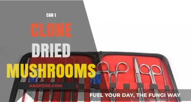 Cloning Dried Mushrooms: Techniques, Challenges, and Success Tips