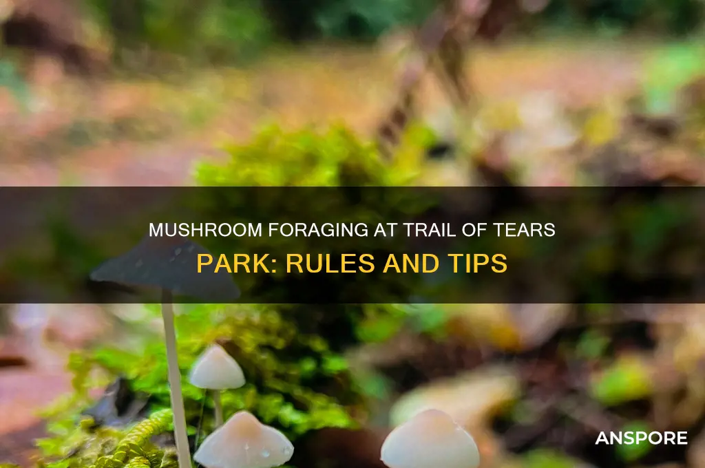 can i collect mushrooms at trail of tears park