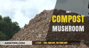 Can You Compost Mushrooms? A Guide to Eco-Friendly Mushroom Disposal
