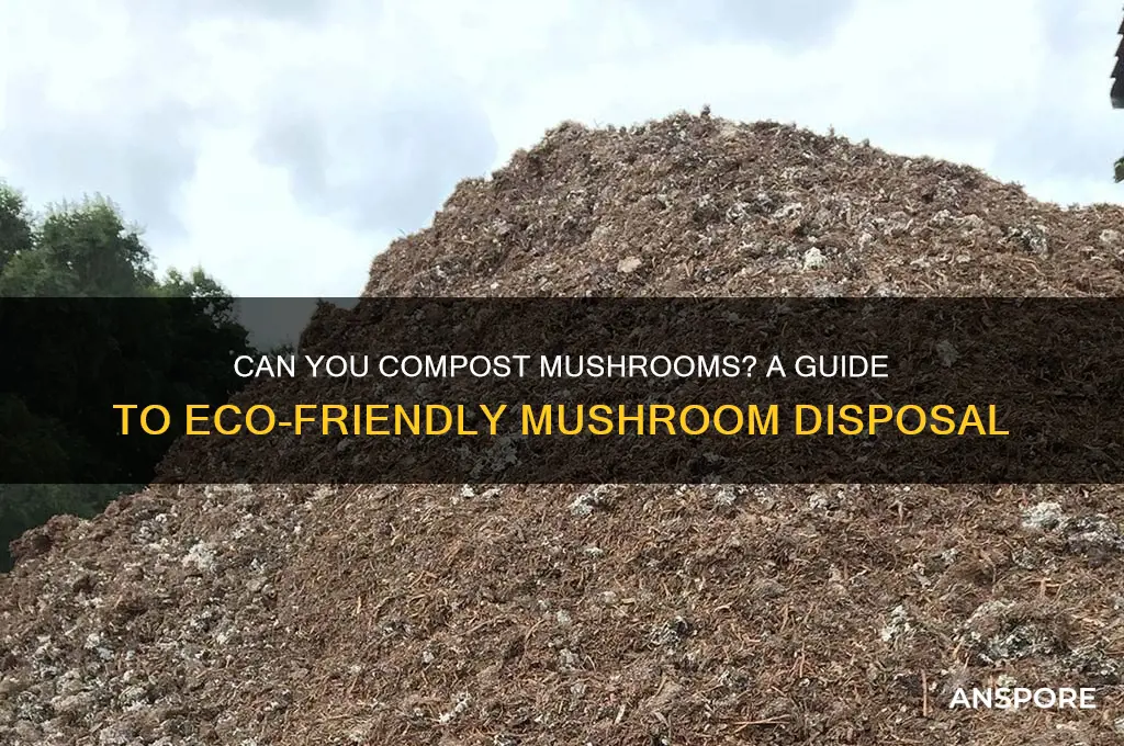 can i compost mushroom