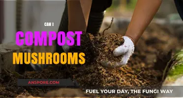 Composting Mushrooms: A Complete Guide to Eco-Friendly Fungal Recycling