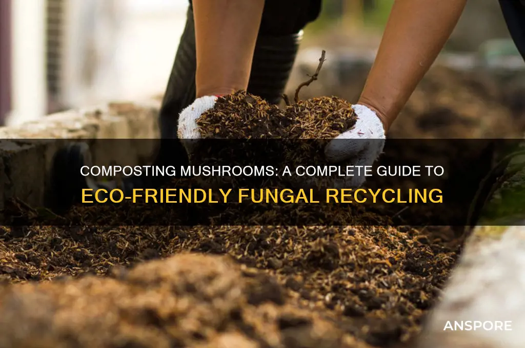 can i compost mushrooms