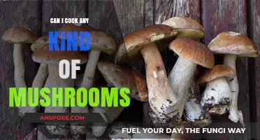 Exploring Edible Mushrooms: Which Varieties Are Safe to Cook?