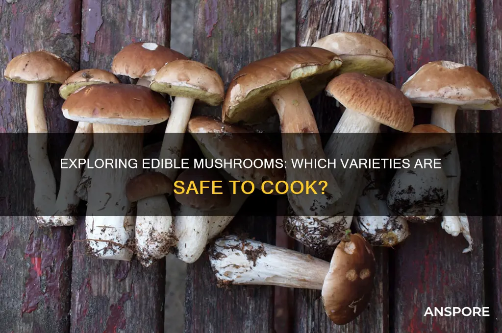 can i cook any kind of mushrooms