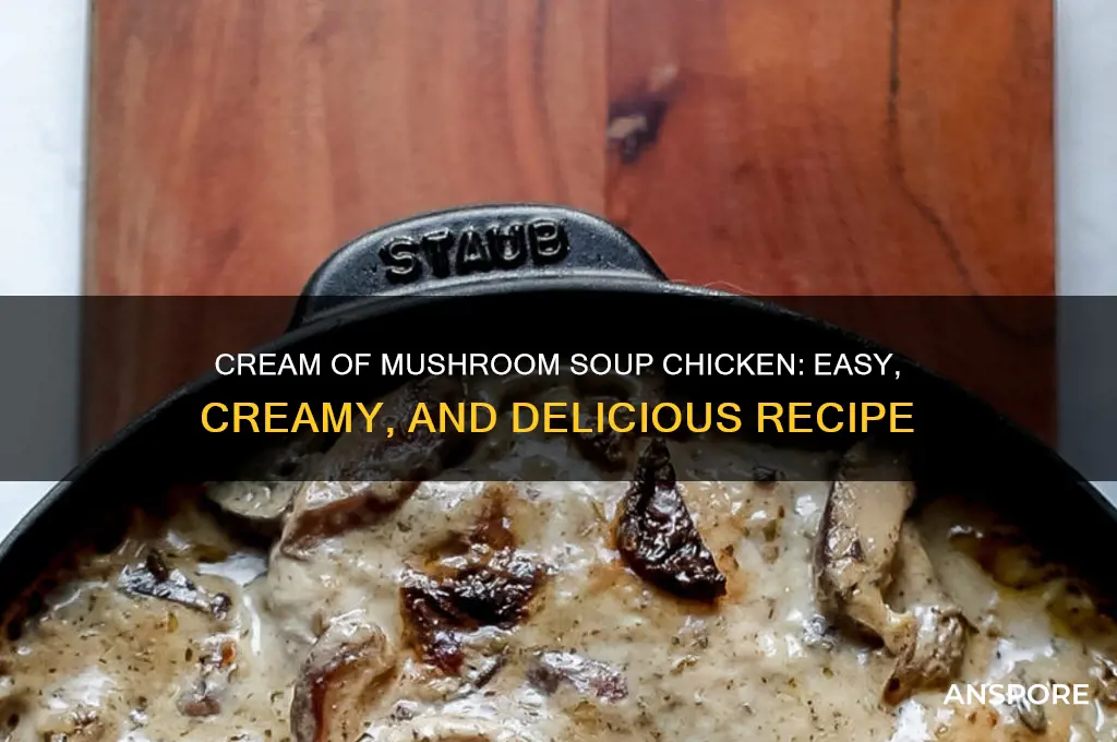 can i cook chicken in cream of mushroom soup