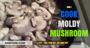Cooking Moldy Mushrooms: Risks, Safety Tips, and Healthy Alternatives