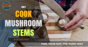 Cooking Mushroom Stems: Delicious Ways to Use Every Part