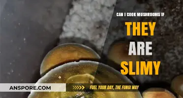 Slimy Mushrooms: Safe to Cook or Toss? Expert Tips
