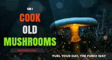 Reviving Old Mushrooms: Safe Cooking Tips and Delicious Recipes
