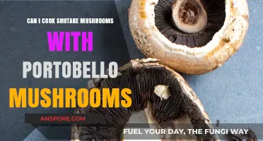 Shiitake and Portobello Mushrooms: A Perfect Pairing for Cooking?