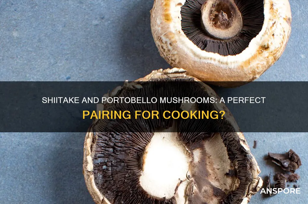 can i cook shiitake mushrooms with portobello mushrooms
