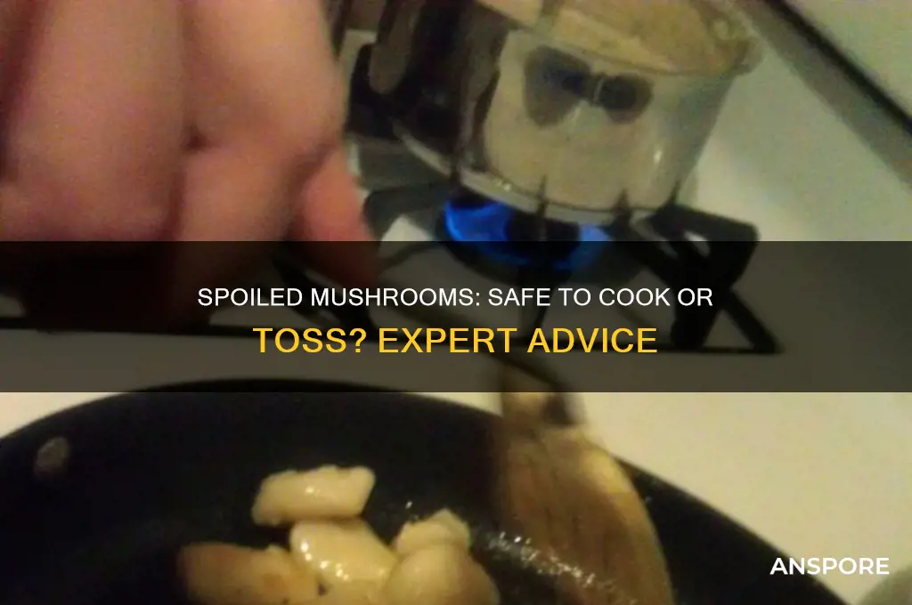 can i cook spoiled mushrooms