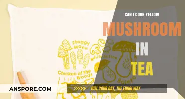 Brewing with Yellow Mushrooms: A Unique Tea Infusion Idea