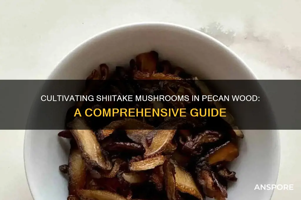 can i cultivate shiitake mushrooms in pecan wood