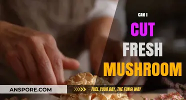 Can You Cut Fresh Mushrooms? Tips for Prepping and Storing