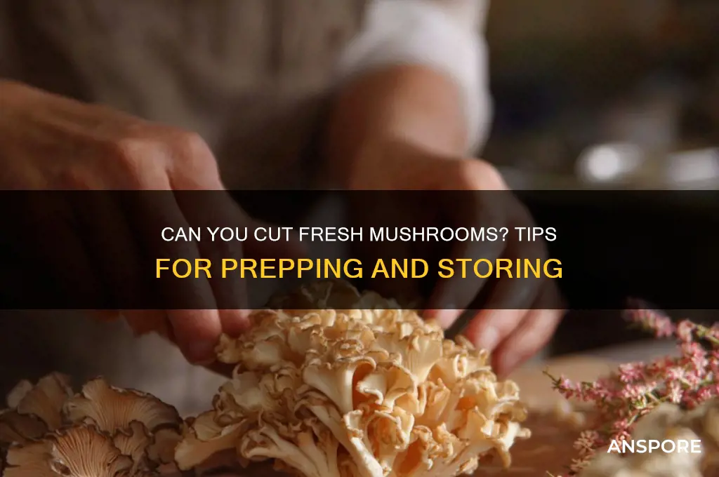 can i cut fresh mushrooms